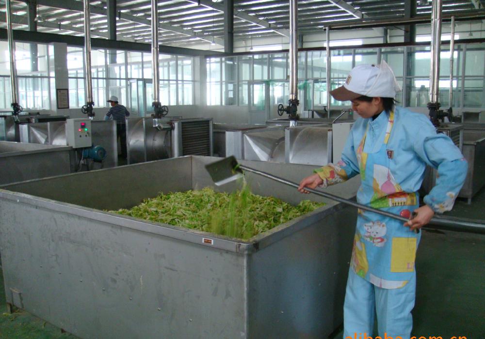 Commercial Vegetable Dryer Commercial Vegetable Dryer
