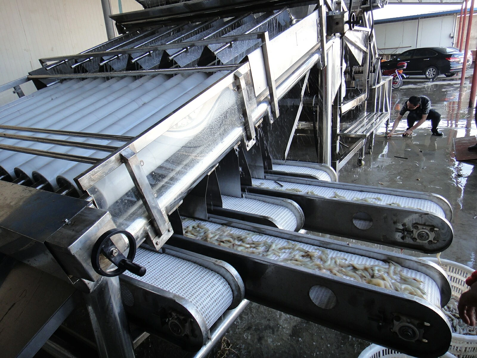 Grading Machine For Shrimp Grading Machine For Shrimp